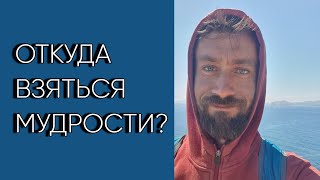 8. Откуда взяться мудрости?