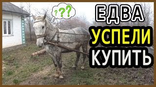 Едва УСПЕЛИ КУПИТЬ. Готовимся к ЗИМЕ!