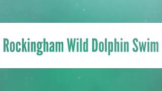 Rockingham Wild Encounters - Wild Dolphin Swim