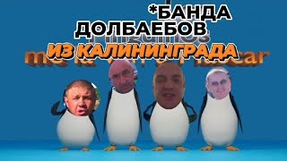 БАНДА НЕДОПОНЯТЫХ ГЕНИЕВ ИЗ КАЛИНИНГРАДА! ПАША ПЭЛ ПРИКОЛ