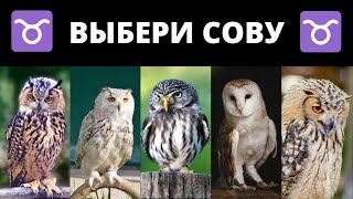 Тест для Тельцов! | Узнай, что на самом деле происходит в твоей жизни!