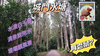 兩條蕃薯去 #郊遊 #城門水塘 有老鼠? #假日好去處 #親子活動 #hiking #親子活動 #自己垃圾自己帶走 #djimini #航拍香港 #行山 #outdoor #山野無痕 #馬騮