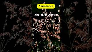 Abundance | Esther Hicks | #inspirationalquotes #quote #shorts