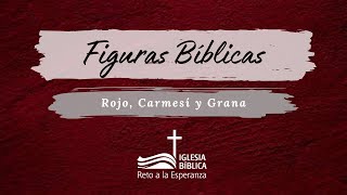 FIGURAS BÍBLICAS - ROJO, CARMESÍ Y GRANA