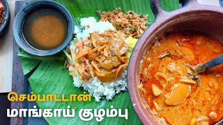 நாவூறும் யாழ்ப்பாணத்தான் மாங்காய் கறி | Sri Lankan | Jaffna's Green Mango Curry | Amba Maluwa #food