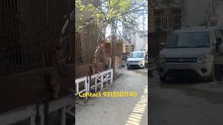 90 Lac me 100 Sq Yard Independent House for Sale in New Palam Vihar Gurugram #forsale #property