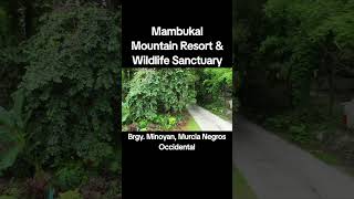 Entrance to Mambukal Mountain Resort and Wildlife Sanctuary Brgy. Minoyan, Murcia Negros Occidental