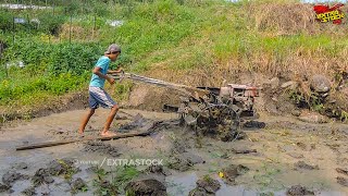 Manuver Joki Bocil Traktor Sawah Menggaru Tanah Liat