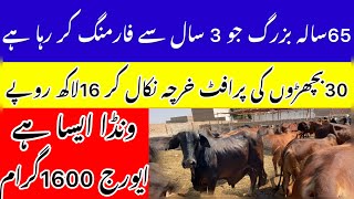 Bachra Farming In Pakistan 🇵🇰 ||Fettening Farm 30 Bachro Ke Parapet 16Lakh 🔥