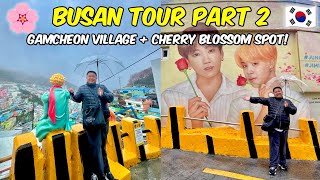 KOREA 2024: Let's go to Gamcheon Culture Village + Cherry Blossom Experience!🇰🇷