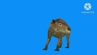 eohippus blue screen