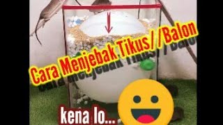 CARA MENJEBAK TIKUS // BALON