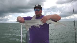 Shark Fishing in Florida