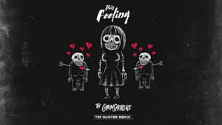 The Chainsmokers   This Feeling Tim Gunter Remix   Official Audio ft  Kelsea Ballerini