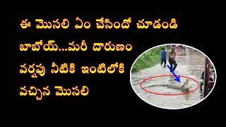 Big Crocodile Enter in A Village in India - Watch How They Control Crocodile || Lemontv Telugu