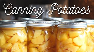 Canning POTATOES and saving your harvest for the winter