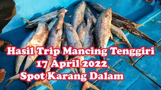 HASIL TRIP MANCING TENGGIRI HARI INI 17 APRIL 2022, 17 EKOR MAYORITAS BABON