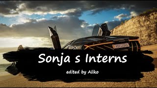 Sonja_s_Interns