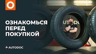 3 вещи которые нужно знать перед покупкой летней резины | СОВЕТЫ AUTODOC