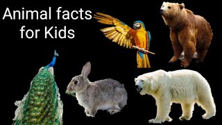 Facts about the animals, birds, and insects for kids by Tehrim's Info channel