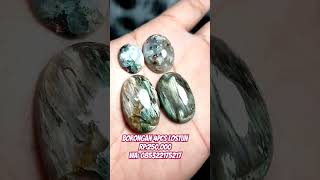 bacan leci vs Garut