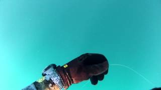 Подводная охота Крым, Пеламида 10.08.2012 arsi@охота Spearfishing in Black Sea. palamita sarda.