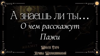 О чем расскажут Пажи 🧝🏼