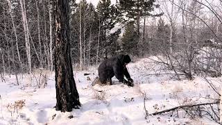 Winter hike to the mountains at -30 C, cold adventure