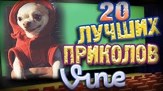 Лучшие Приколы Vine! (ВЫПУСК 52) [17+]