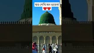 ওগো মোর পেয়ারা নাবী 🕋🕋 #viral #viralvideo #viralshorts #viralshort #trending #song