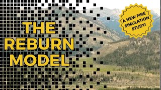 The REBURN Model: Simulating forest and fuel succession and disturbance dynamics of large landscapes