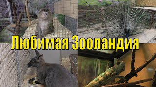 ЗООЛАНДИЯ МУРМАНСК /КОНТАКТНЫЙ ЗООПАРК