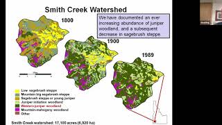 Use of prescribed fire in western juniper woodlands