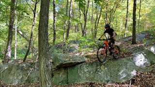 Tour De Ninham Mountain Gnar