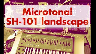 Microtonal Roland SH-101 Landscape with Flux, Beads and Nightsky