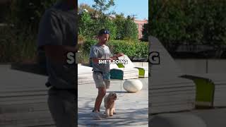 Teaching an NHL Player how to walk his dog #washingtoncapitals