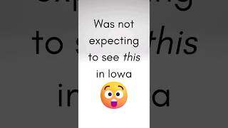 A surprise in Iowa! 🦅😲 #shorts #baldeagle #cedarrapids #iowa #aub_and_steve #Time2Travel