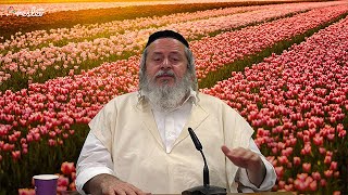 Blessings all day | rabbi yonatan ballaish