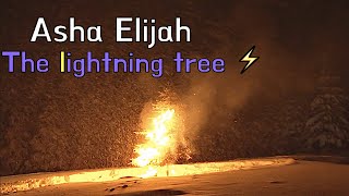 Asha Elijah ~ The lightning tree