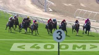 Maribyrnong Plate 2024 - TYCOON STAR (2YO SW G3) Group 3 Flemington 5 November