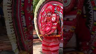 പഞ്ചുരുളി തെയ്യം | #theyyam #theyyamkerala #panjurli #panjurlikola #ritual #shortsfeed#shorts#viral