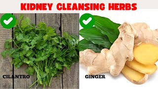 Eat These 9 Everyday Herbs To Boost Kidney Cleanse and Detox