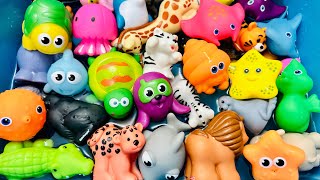 Learn Sea Animal Names, Zoo Animals, Sea Animals for Kids, Sea Creatures for Kids, Sea Animal Toys