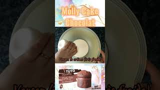 molly cake au chocolat #mollycake #cakedesign #ofyzcakeetcreation622