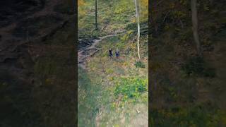 Climbing in the Austrian Alps #natureshorts#alpsmountains#shortsvideo#top#amazing#shorts#austria#dji