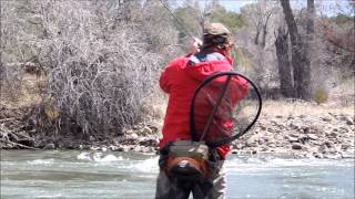 Animas River Nick Ross The San Juan Angler