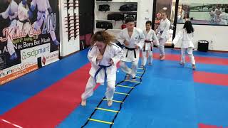 SMAI Karate USA