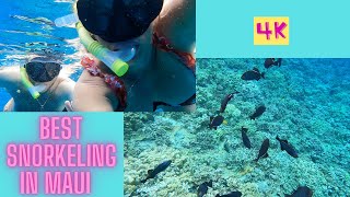 Snorkeling at Molokini Crater, Maui | Ultimate Underwater Adventure