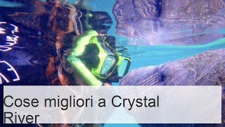 12 Migliori cose da fare a Crystal River, Florida (+Mappa) - Touropia