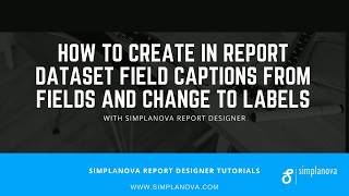 How to create Dynamics NAV report Field Captions and Labels